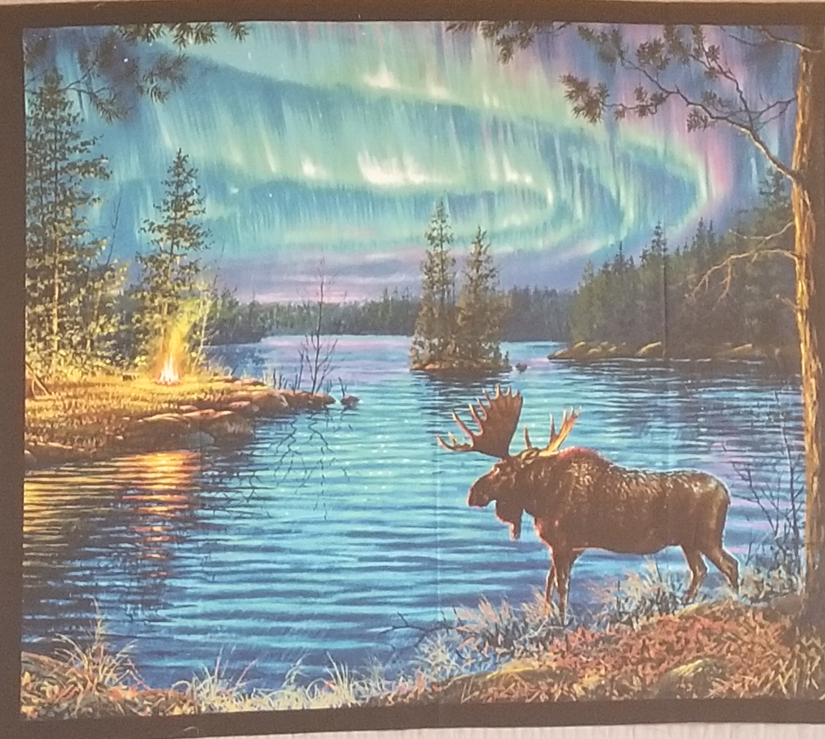 Panel Moose in Pond/Northern Lights